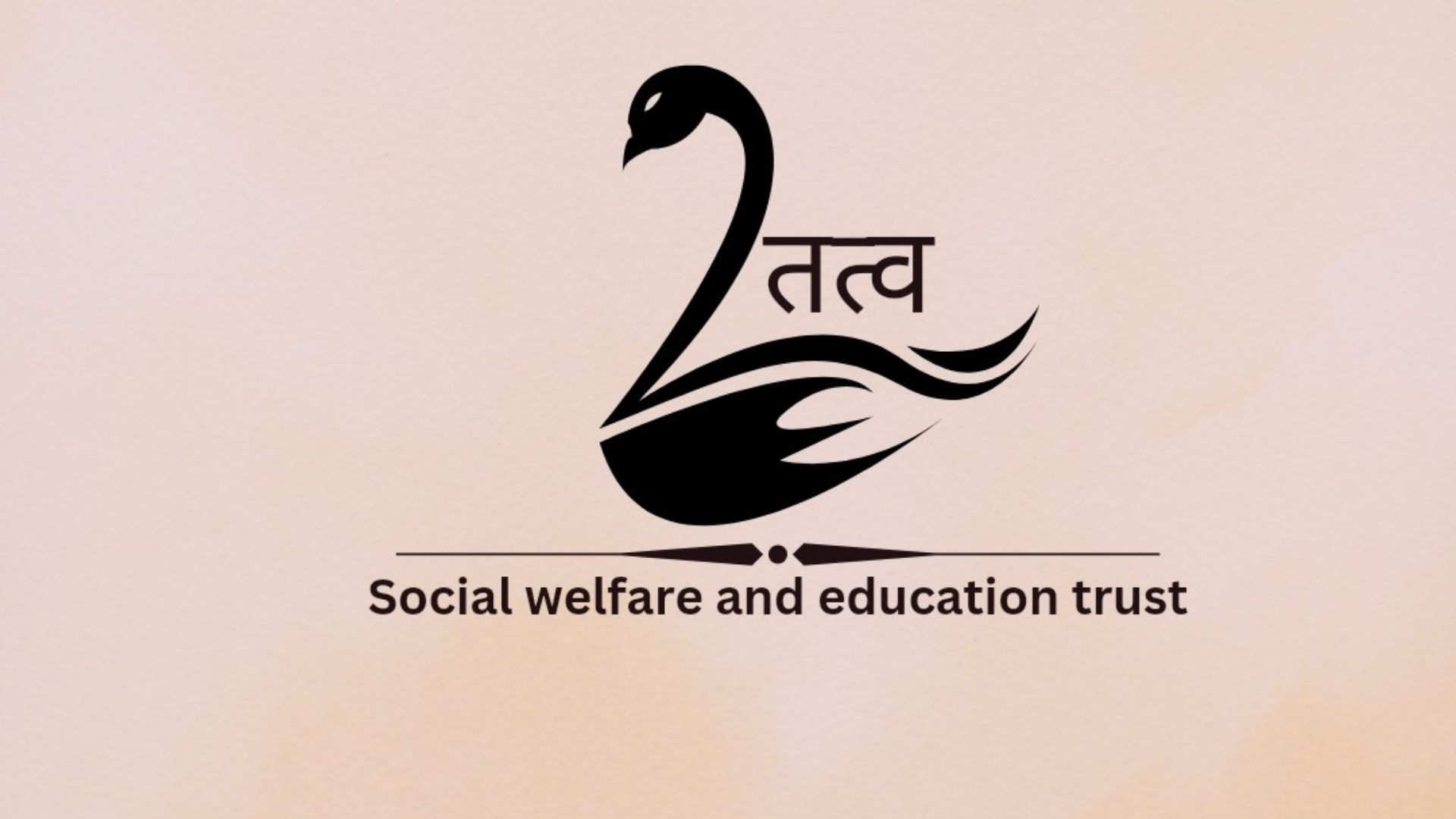 Tatv Social Welfare and Education Trust